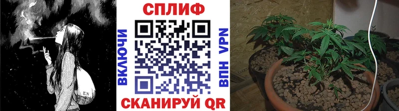 Где купить Серов ссылка на мегу   Alpha-PVP  АМФЕТАМИН  Бошки Шишки  Псилоцибиновые грибы  ГАШИШ  Меф  COCAIN 