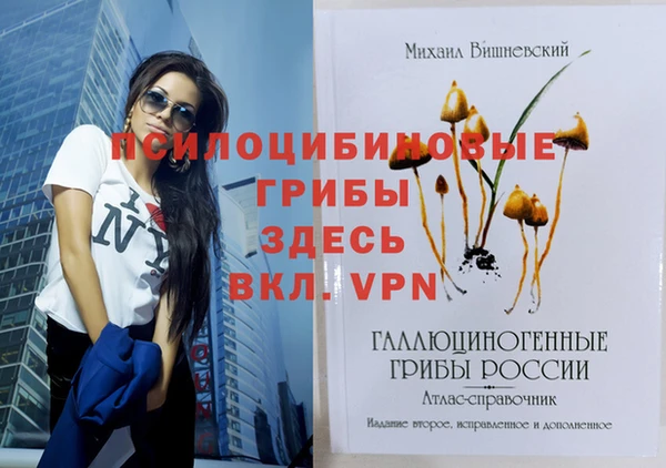спайс Белокуриха