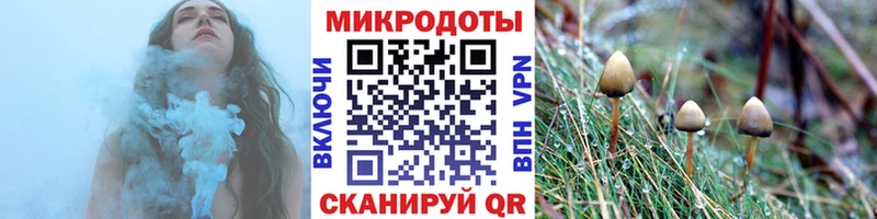 Псилоцибиновые грибы Psilocybe  ОМГ ОМГ ТОР  Серов  купить  